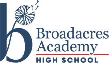 Schools in fourways | Broadacres Academy High School